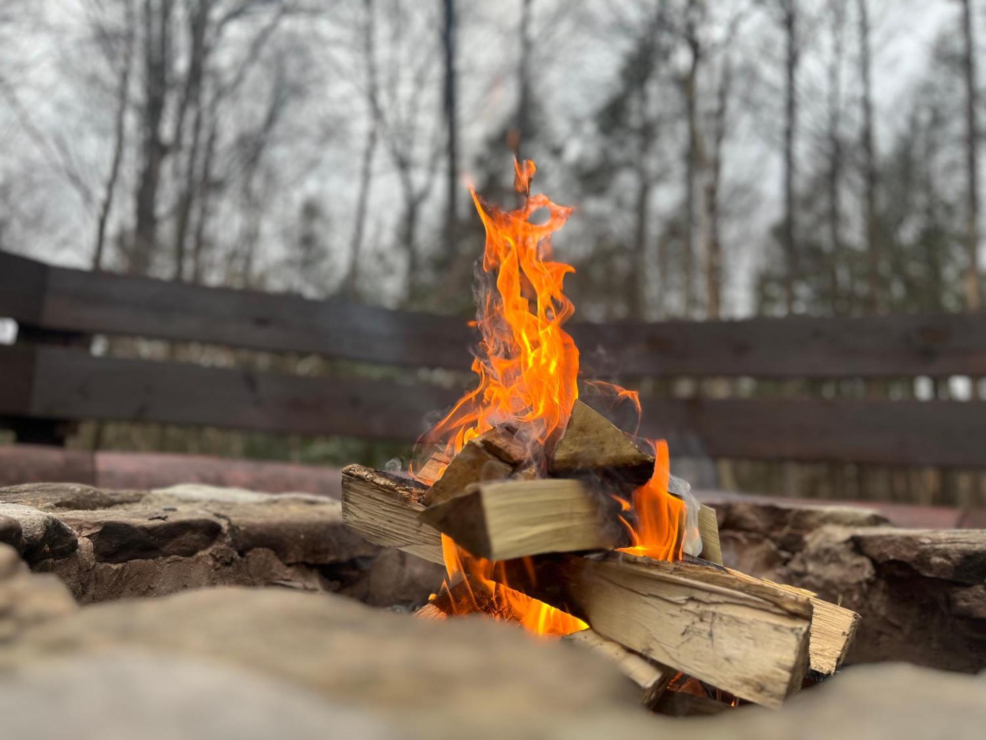 Beautiful Cabin On 83 Acres Near New River Gorge National Park Hico Kültér fotó